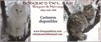 www.Bosquesdelzar.com